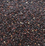 Quinoa czarna - komosa ryżowa worek 25 kg
