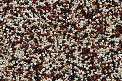 Quinoa trójkolorowa BIO