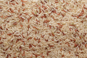 Ryż brązowy długoziarnisty BIO 25 kg